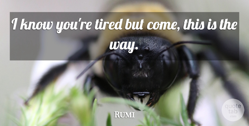 Rumi Quote About Spiritual, Tired, Way: I Know Youre Tired But...