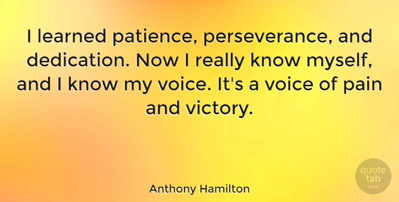 Anthony Hamilton Quote About Patience, Perseverance, Pain: I Learned Patience Perseverance And...