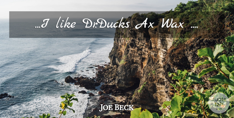 Joe Beck Quote About Music, Ducks, Drs: I Like Drducks Ax Wax...