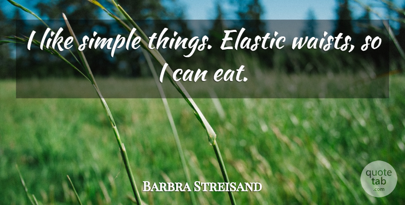 Barbra Streisand Quote About Simple, I Can, Simple Things: I Like Simple Things Elastic...