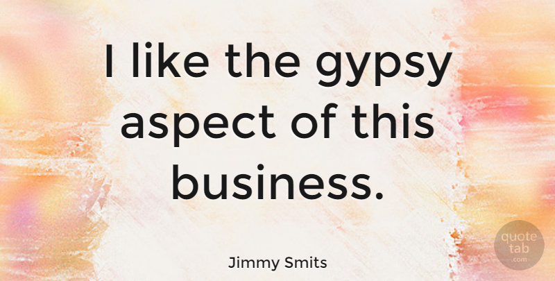 Jimmy Smits Quote About Aspect, Gypsy: I Like The Gypsy Aspect...