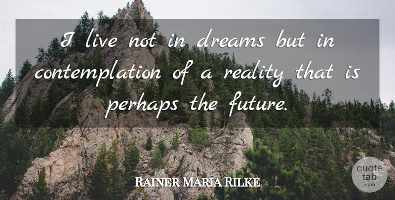 Rainer Maria Rilke Quote About Dream, Reality, Contemplation: I Live Not In Dreams...