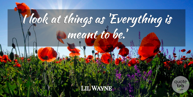 Lil Wayne Quote About Looks, Meant To Be: I Look At Things As...