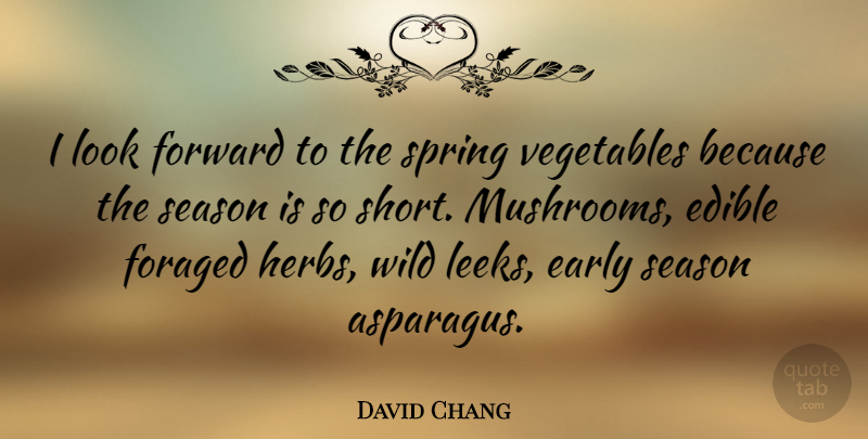 David Chang Quote About Spring, Vegetables, Mushrooms: I Look Forward To The...