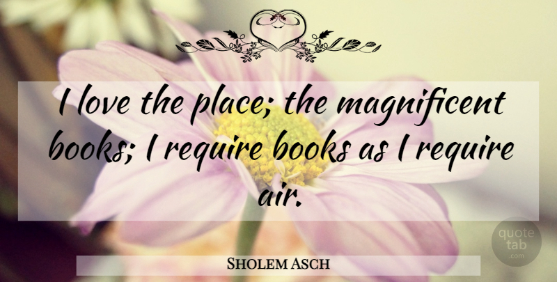 Sholem Asch Quote About Book, Air, Library: I Love The Place The...