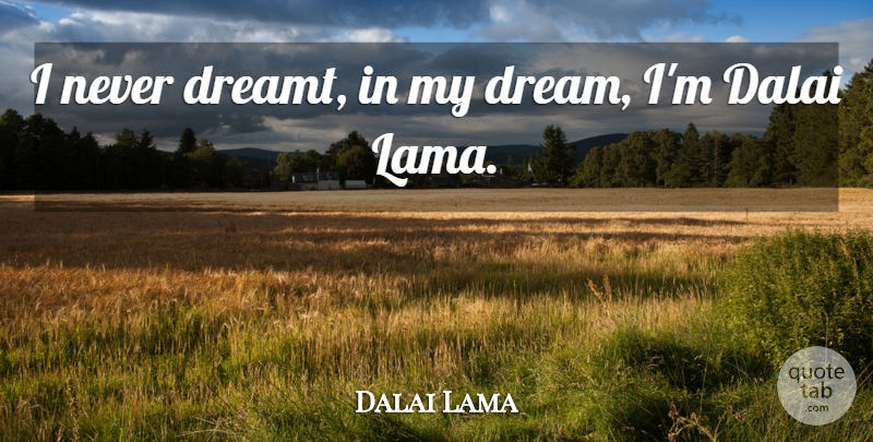 Dalai Lama Quote About Dream, Lama, Dalai: I Never Dreamt In My...