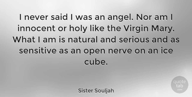 Sister Souljah Quote About Angel, Ice, Nerves: I Never Said I Was...