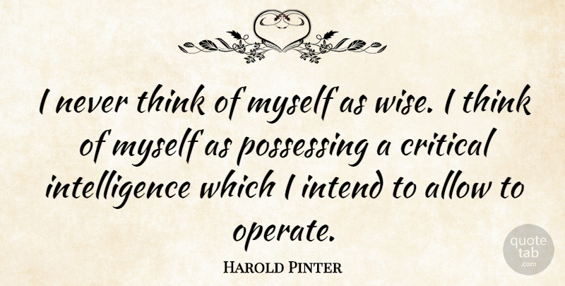 Harold Pinter Quote About Wise, Thinking, Literature: I Never Think Of Myself...