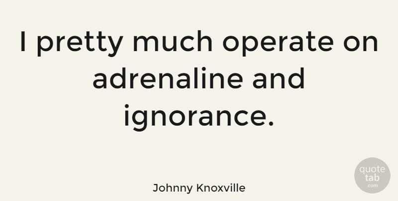Johnny Knoxville Quote About Ignorance, Adrenaline, Adrenaline Rush: I Pretty Much Operate On...