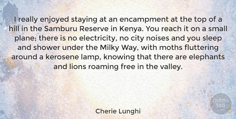 Cherie Lunghi Quote About Sleep, Cities, Elephants: I Really Enjoyed Staying At...