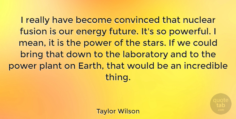 Taylor Wilson Quote About Bring, Convinced, Energy, Fusion, Future: I Really Have Become Convinced...