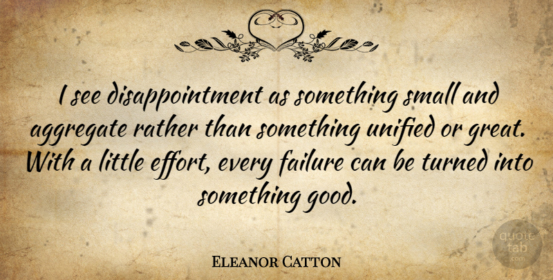 Eleanor Catton Quote About Disappointment, Effort, Littles: I See Disappointment As Something...