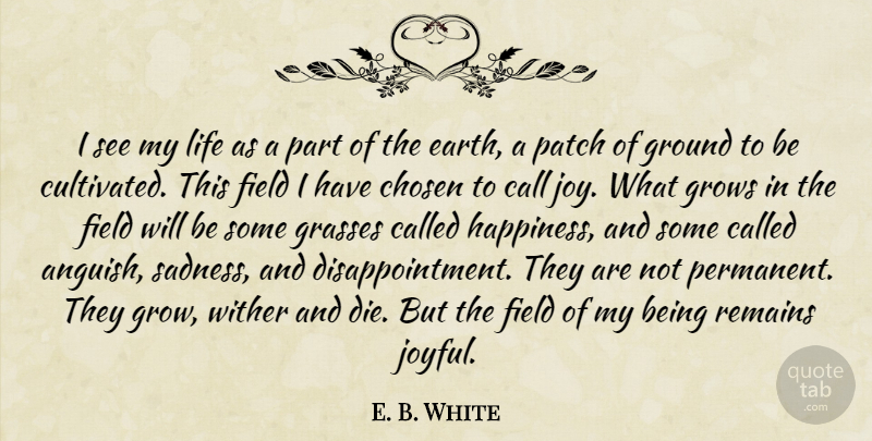E. B. White Quote About Call, Chosen, Field, Ground, Grows: I See My Life As...