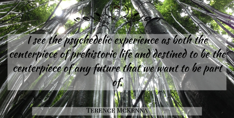 Terence McKenna Quote About Want, Psychedelic, Centerpieces: I See The Psychedelic Experience...