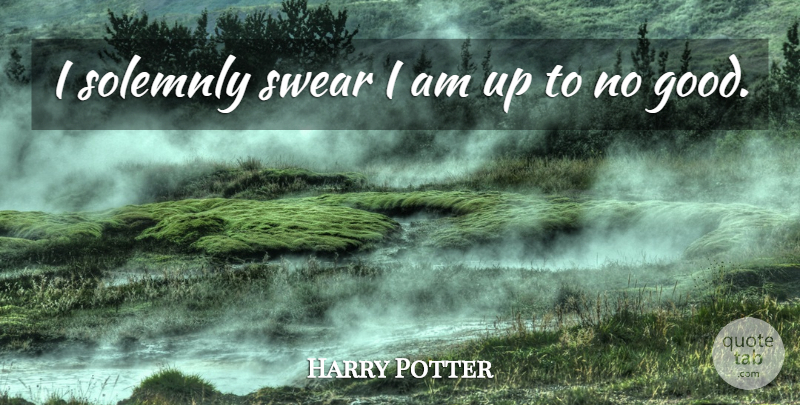 Harry Potter Quote About Swear: I Solemnly Swear I Am...