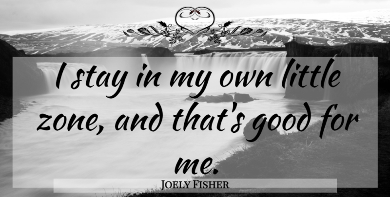 Joely Fisher Quote About Littles, Zone, My Own: I Stay In My Own...