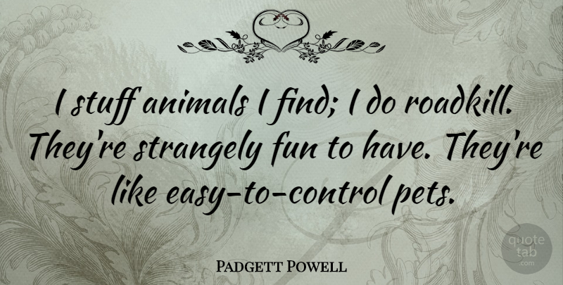 Padgett Powell Quote About Strangely: I Stuff Animals I Find...