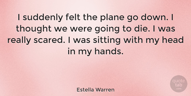 Estella Warren Quote About Felt, Plane, Sitting, Suddenly: I Suddenly Felt The Plane...