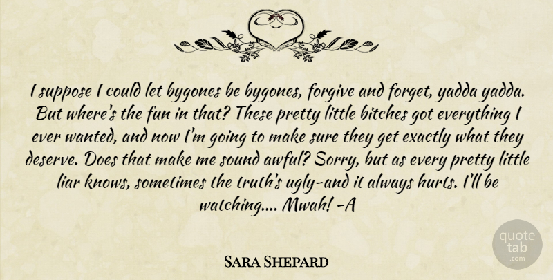 Sara Shepard Quote About Hurt, Sorry, Fun: I Suppose I Could Let...