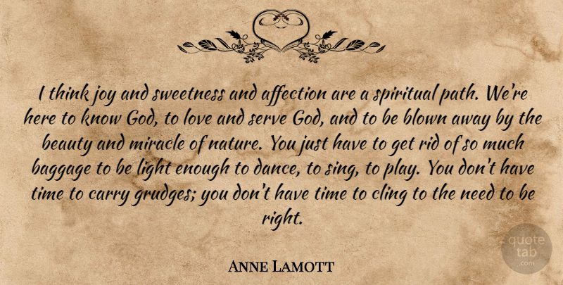 Anne Lamott Quote About Spiritual, Thinking, Light: I Think Joy And Sweetness...