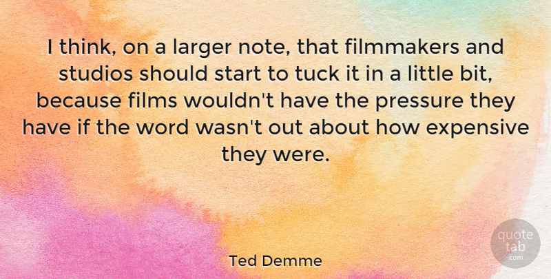 Ted Demme Quote About American Director, Expensive, Filmmakers, Films, Larger: I Think On A Larger...