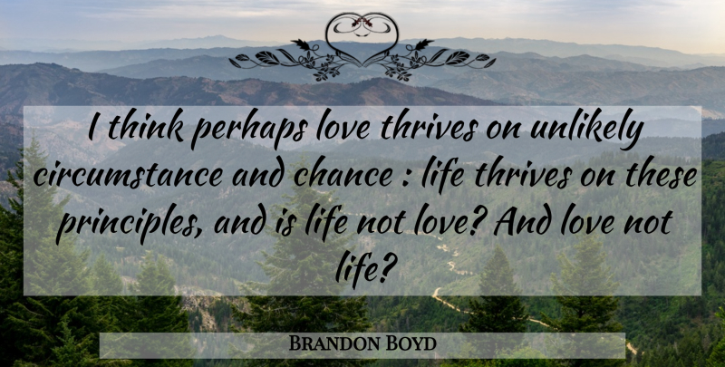 Brandon Boyd Quote About Thinking, Perhaps Love, Principles: I Think Perhaps Love Thrives...