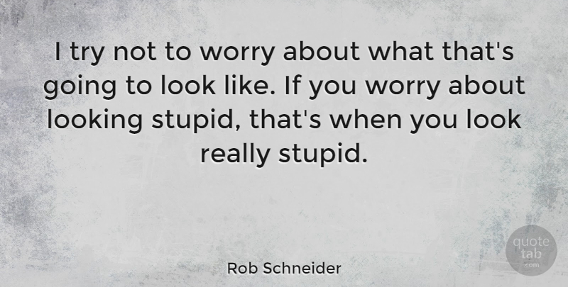 Rob Schneider Quote About Stupid, Worry, Trying: I Try Not To Worry...