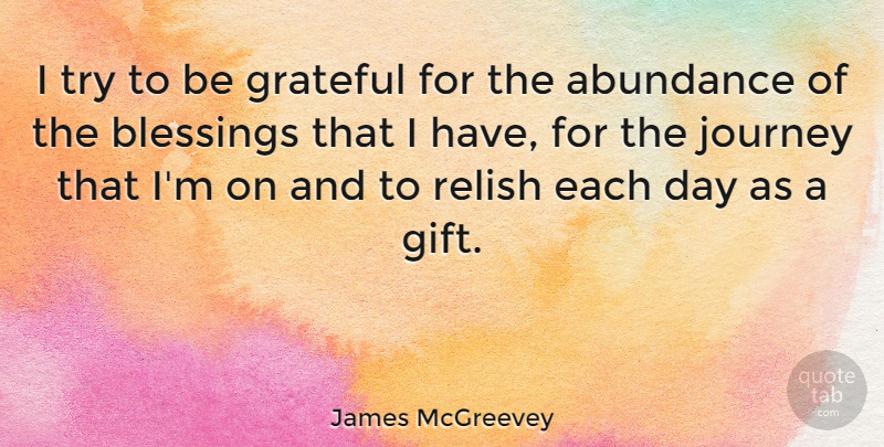 James McGreevey Quote About Grateful, Journey, Blessing: I Try To Be Grateful...