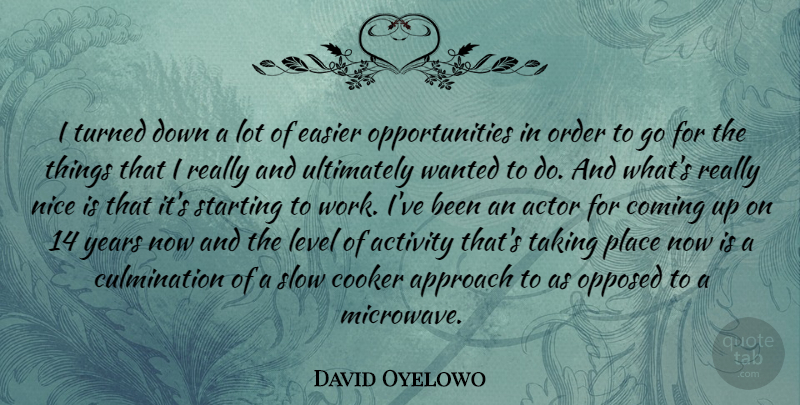 David Oyelowo Quote About Nice, Opportunity, Order: I Turned Down A Lot...