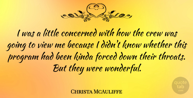 Christa McAuliffe Quote About American Astronaut, Concerned, Crew, Kinda, Program: I Was A Little Concerned...