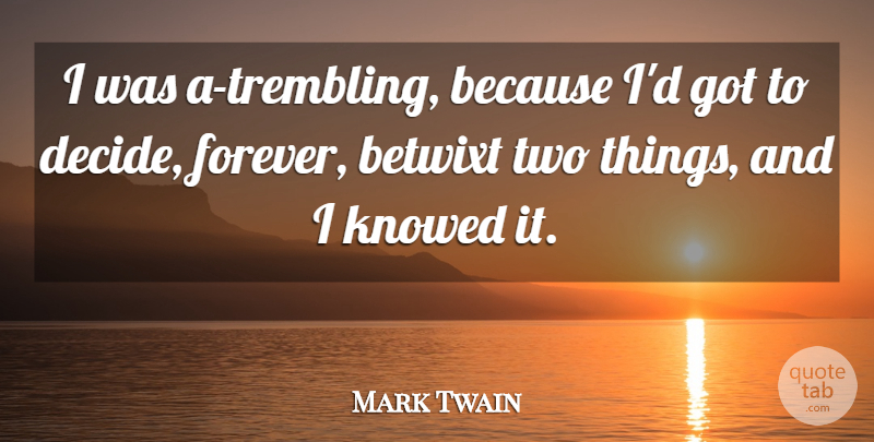 Mark Twain Quote About Two, Forever, Literature: I Was A Trembling Because...