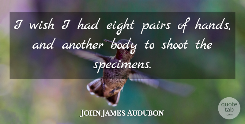 John James Audubon Quote About Hands, Eight, Wish: I Wish I Had Eight...