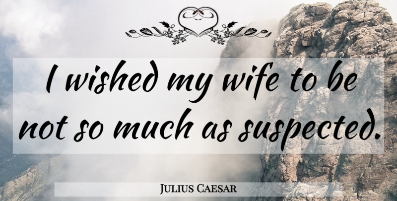 Julius Caesar Quote About Wife, My Wife: I Wished My Wife To...