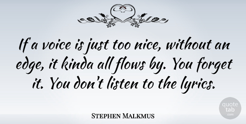 Stephen Malkmus Quote About Nice, Voice, Flow: If A Voice Is Just...