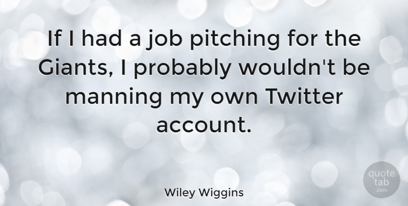 Wiley Wiggins Quote About Job: If I Had A Job...