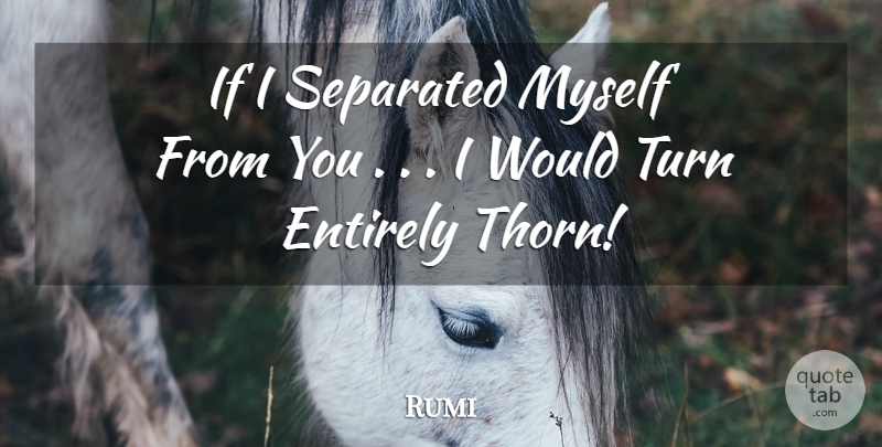 Rumi Quote About Turns, Ifs: If I Separated Myself From...