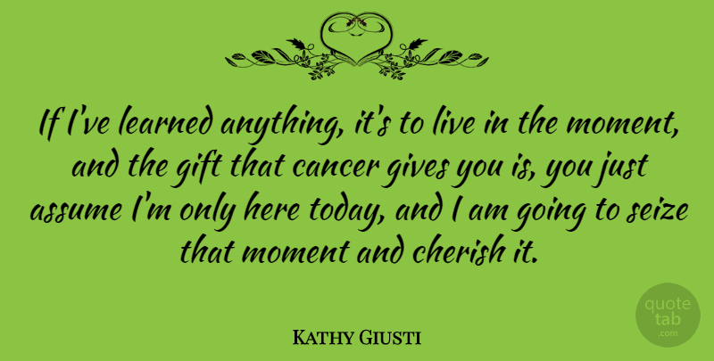 Kathy Giusti Quote About Assume, Cherish, Gift, Gives, Learned: If Ive Learned Anything Its...