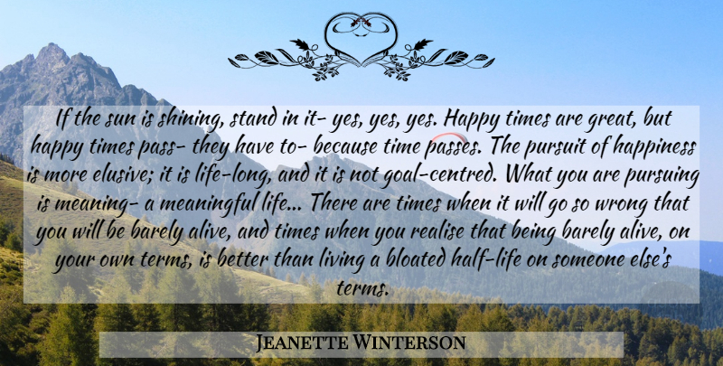 Jeanette Winterson Quote About Meaningful, Pursuit Of Happiness, Happy Times: If The Sun Is Shining...