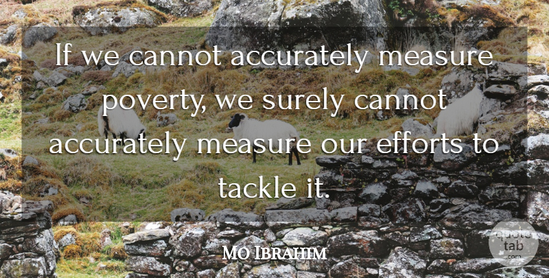 Mo Ibrahim Quote About Accurately, Cannot, Efforts, Measure, Surely: If We Cannot Accurately Measure...