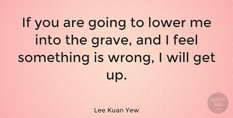 Lee Kuan Yew Quote About Lower: If You Are Going To...