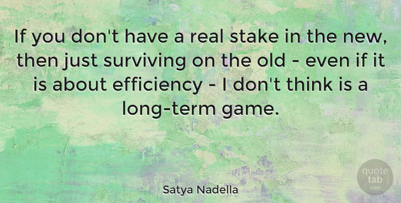 Satya Nadella Quote About Stake: If You Dont Have A...