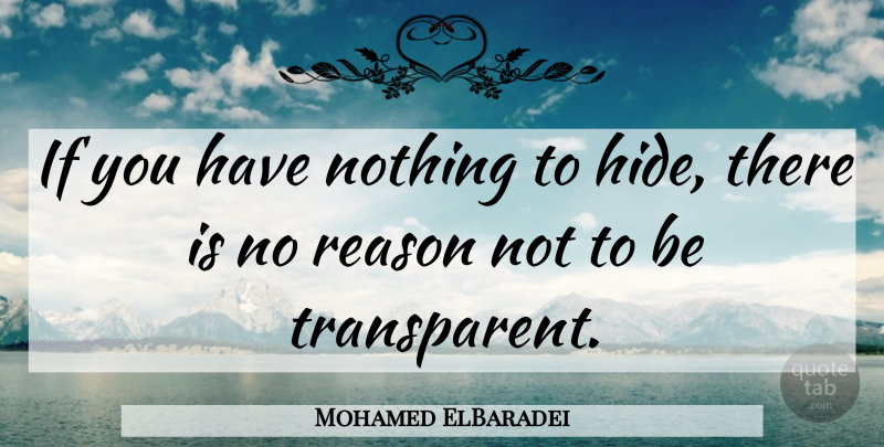 Mohamed ElBaradei Quote About Reason: If You Have Nothing To...