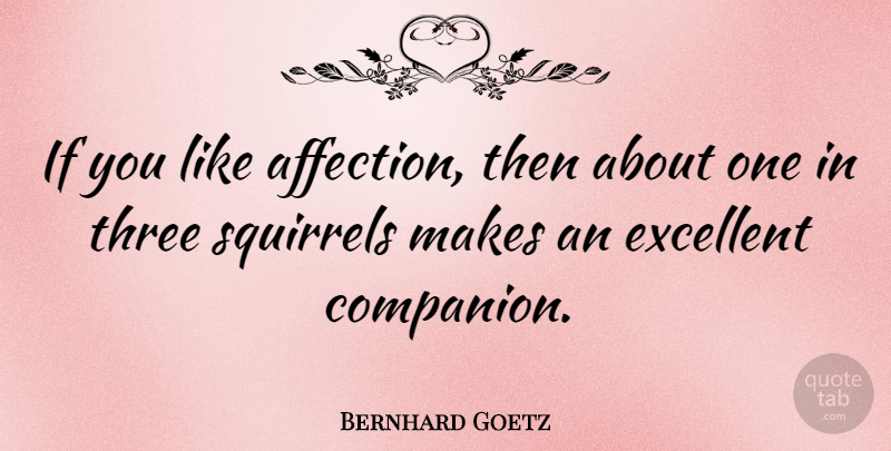 Bernhard Goetz Quote About Excellent, Squirrels: If You Like Affection Then...