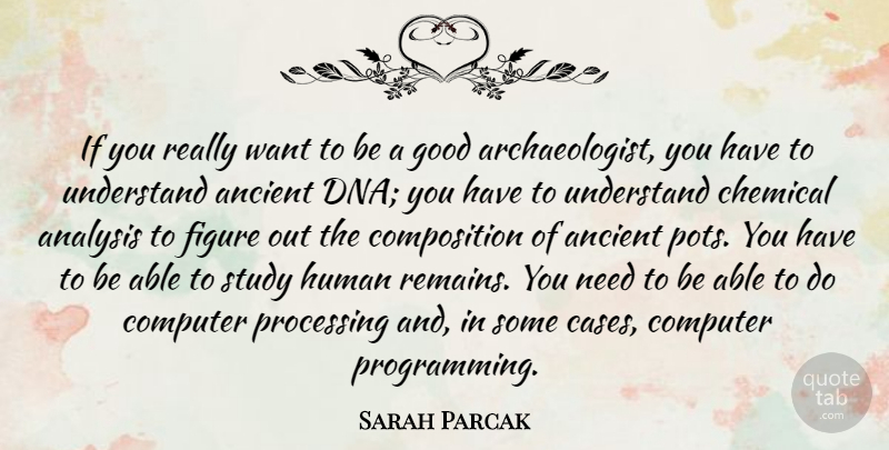 Sarah Parcak Quote About Ancient, Chemical, Computer, Figure, Good: If You Really Want To...