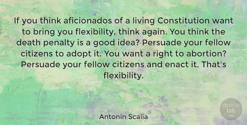Antonin Scalia Quote About Thinking, Ideas, Abortion: If You Think Aficionados Of...