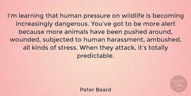 Peter Beard Quote About Alert, Animals, Becoming, Human, Kinds: Im Learning That Human Pressure...
