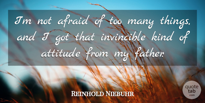 Reinhold Niebuhr Quote About Attitude, Father, Kind: Im Not Afraid Of Too...