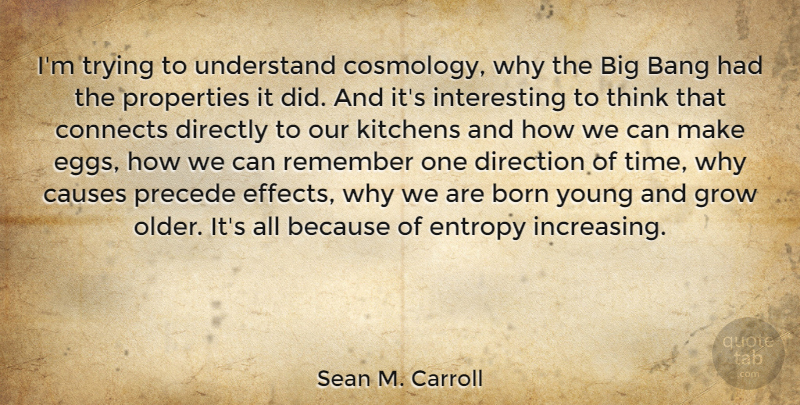 Sean M. Carroll Quote About Bang, Born, Causes, Connects, Directly: Im Trying To Understand Cosmology...