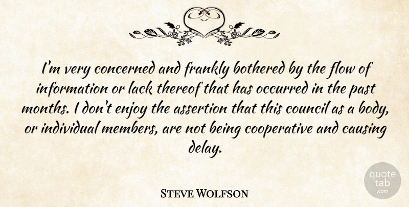 Steve Wolfson Quote About Assertion, Bothered, Causing, Concerned, Council: Im Very Concerned And Frankly...