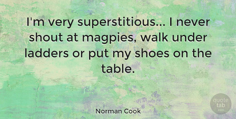Norman Cook Quote About British Musician, Ladders, Shout: Im Very Superstitious I Never...